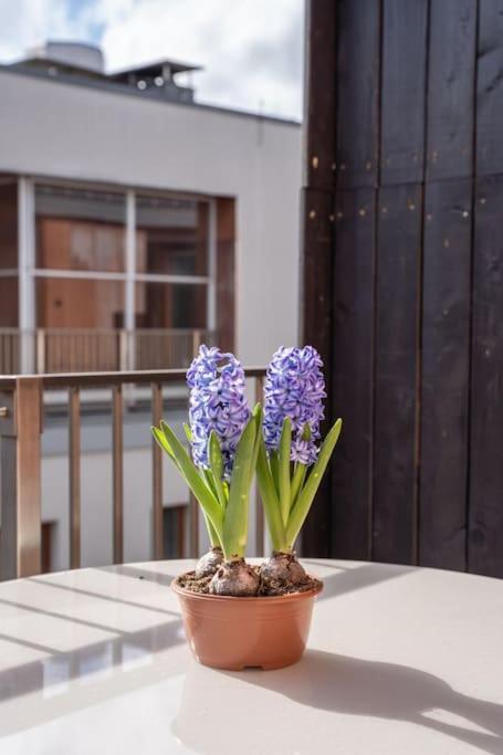 New Loft With Rooftop Terrace In The Old Town Riga Exterior foto